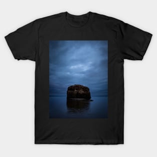 The Mystery of Pokeshaw Rock, New Brunswick Canada V1 T-Shirt